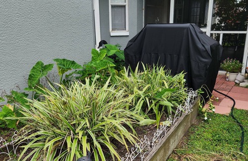 Port Charlotte House | Beautiful, brand new 3 bedroom, 2 full bath in Port Charlotte,FLn