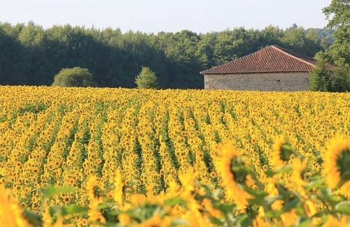 Le Lindois Cottage | Beautiful former haybarn with pool, gym & sauna in the Charente countryside