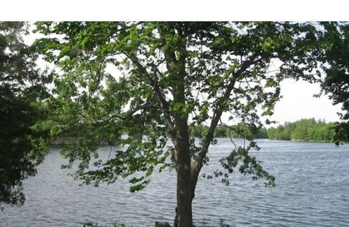 Frontenac Cottage | Beautiful Lake Front 2BR Cottage