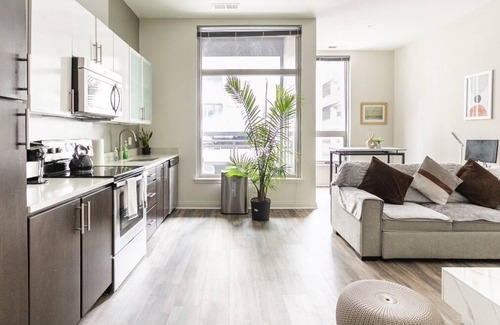 Silver Spring Apartment | Beautiful Loft Style Apartment in the heart of Down Town Silver Spring.