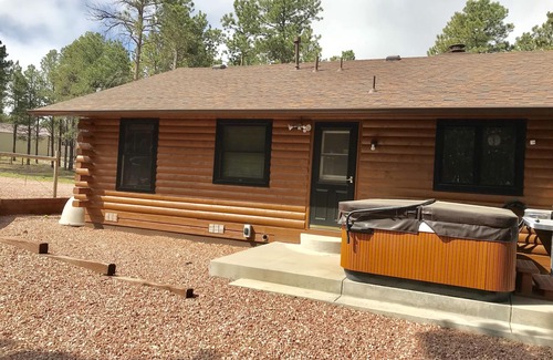 Colorado Springs House | Beautiful log home in black forest. Summer paradise, Winter wonderland!