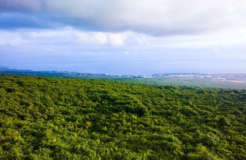 Kailua-Kona House | Beautiful Oceanview Home and Studio