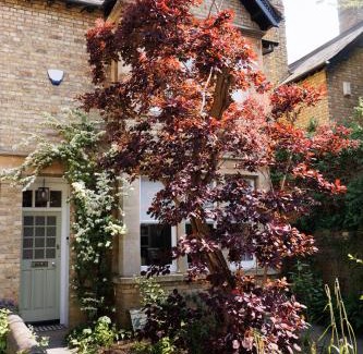 Oxford House | Beautiful Oxford Town House