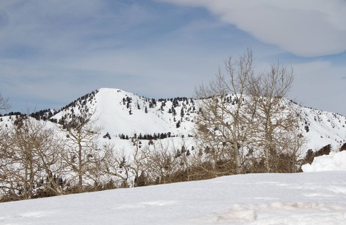 Powder Ridge Village Condo | Beautiful Powder Ridge Resort (Ski In /Ski Out) Best Value In Utah!