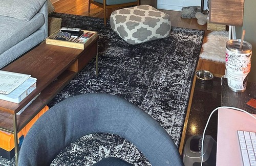 University Village / Little Italy Condo | Beautiful Private Backyard Condo in Chicago