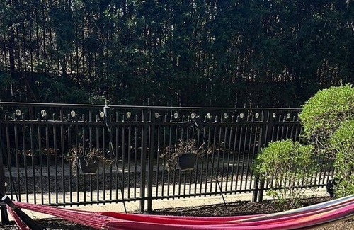 University Village / Little Italy Condo | Beautiful Private Backyard Condo in Chicago