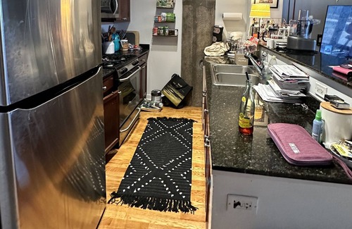 University Village / Little Italy Condo | Beautiful Private Backyard Condo in Chicago