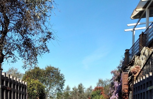 Nocchi House | Beautiful Rustico with private pool.