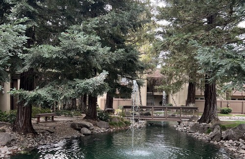Modesto Apartment | Beautiful Stay-cation