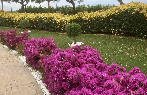 Roda Apartment | Beautiful three bedroomed apartment in Roda Golf
