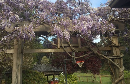 Mendocino Villa | Beautiful Villa Bordering Russian Gulch SP, 2 Mi from Village of Mendocino