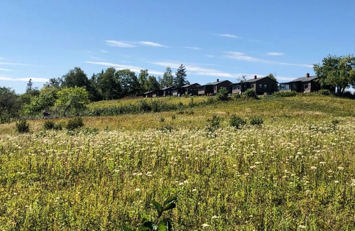 Castine Cottage | Beautiful Water view, path to shore, rustic Maine cottage