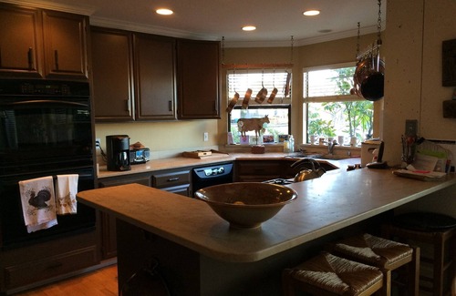 Larkspur House | Beautiful waterfront home on a private lagoon.