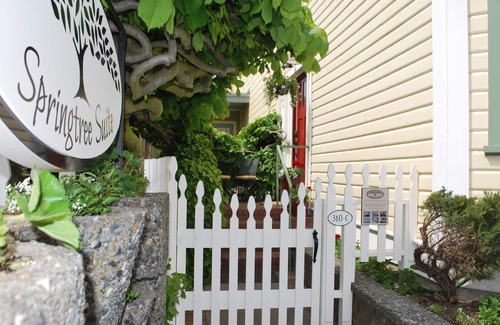 Friday Harbor Condo | Beautifully Appointed 2 Bedroom Condo in the Heart of Friday Harbor.