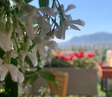 Terni Bed & Breakfast | Bed and Breakfast San Valentino