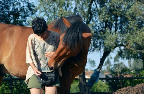 Miranda do Corvo Bed & Breakfast | Bed & Breakfast EQUITARE RURAL