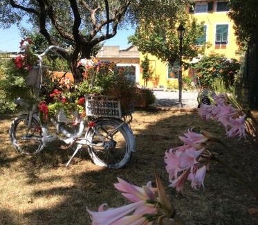 Lunata Bed & Breakfast | Bed & Breakfast Lucca Fora