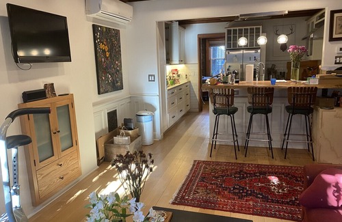 Bedford-Stuyvesant House | Bed Stuy Brownstone Beauty with Hot Tub, Grill, Sauna & Gym