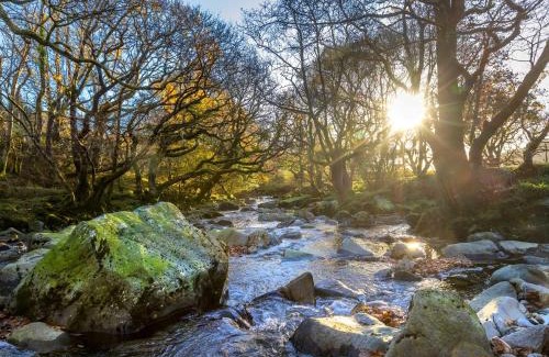 Beddgelert Resort | Beddgelert Cabins, Snowdonia - Forest Holidays