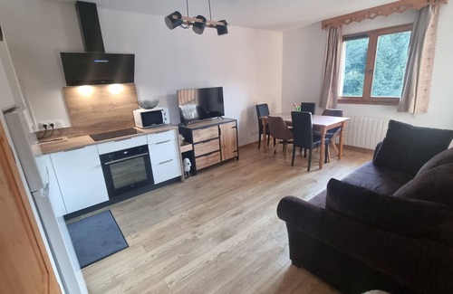Samoens Apartment | Bel Appartement Avec Piscine - Le Grand Tétras