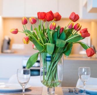 Westende Apartment | Belcasa Family Suites & Lofts Aparthotel
