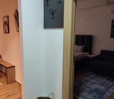 Vracar Apartment | Belgrade apartment Bulevar