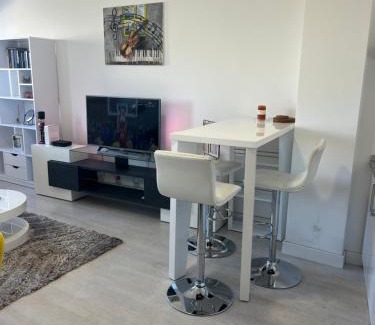 Zvezdara Apartment | Belgrade Center Apartment Lux IV