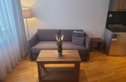 Kopaonik Apartment | BELI VUK - Brzeće, Kopaonik