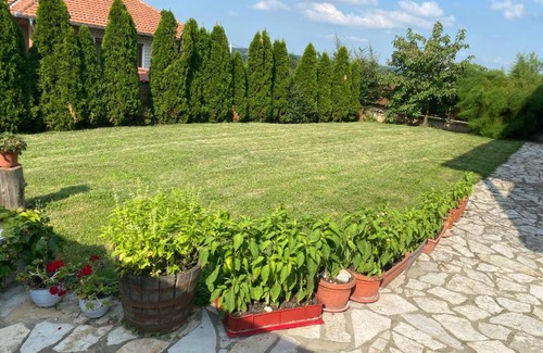 Vracar Villa | Bella Vita