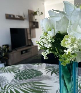 Balatonlelle Apartment | Belle Apartman
