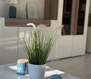 Baja Apartment | Belvárosi Luxus Apartman