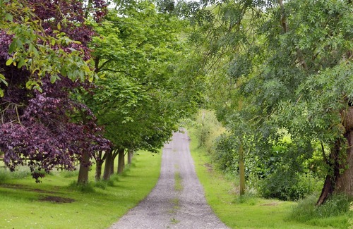 Tetford Cottage | Belvoir Lodge - UK44743