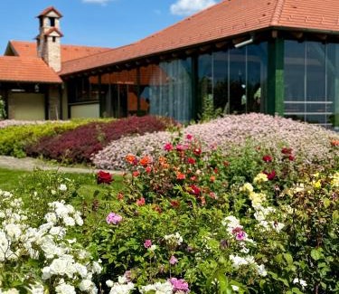 Cegled House | BÉNI family wine farm