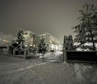 Zhdeniyevo Hotel | Beregynia