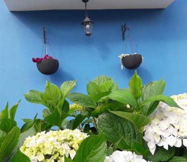 Santiago de Compostela Apartment | Besbello Suites - Apartamento