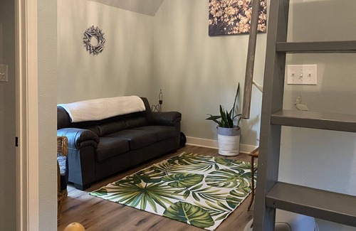San Jacinto Cottage | Best of all worlds!Historic neighborhood, new home , walk to beach or downtown