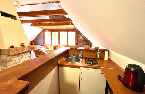 Sarajevo Villa | Best of Ilidza Villa