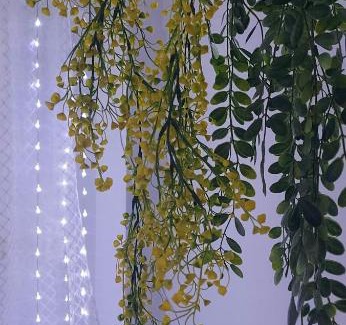 Tirana Apartment | Best Room