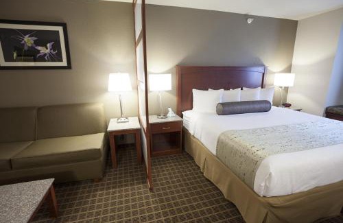 Briargate Hotel | Best Western Plus Peak Vista Inn & Suites