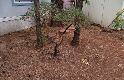 Pinetop House | Beth`s Chalet in Pinetop