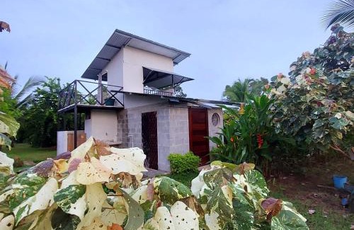 Cariari Other | Bewak CR