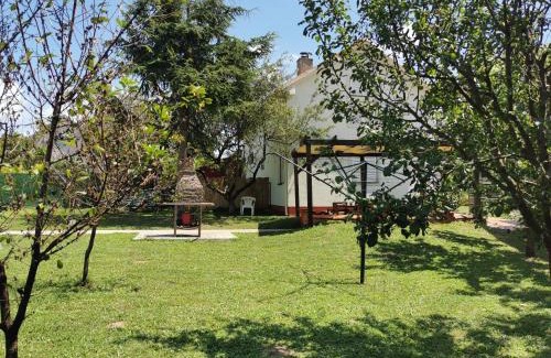 Central Serbia House | Big Borak