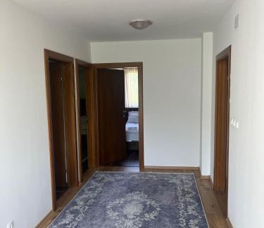 Mali Radic Villa | Big City House