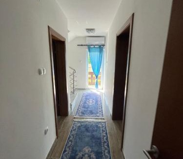 Mali Radic Villa | Big City House
