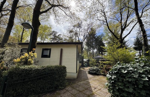 Bosgebied Hoenderloo House | Big deluxe chalet with private jacuzzi, swimming pool on park.