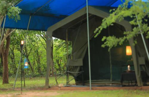 Pahala Maragahawewa Other | Big Game - Wilpattu by Eco Team