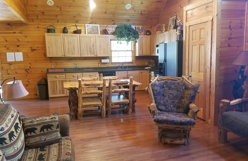 Hiawassee Cabin | Big Nate Cabin on Lake with Water Trampoline