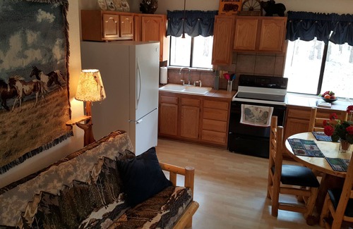 Florissant Cabin | Bigfoot Trail Cabin-Private and cozy with Hot Tub-Dog Friendly