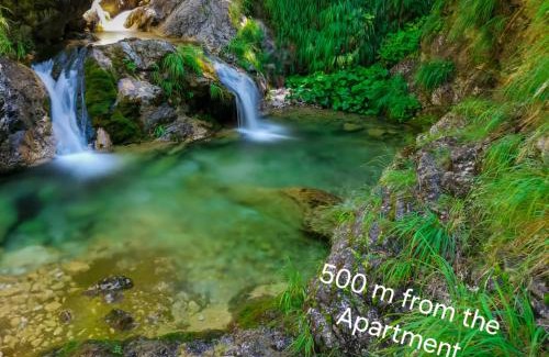 Trn Apartment | "BIJELA" Apartments with AC, outdoor fireplace and terrace