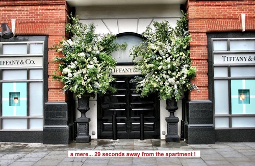 Chelsea Apartment | " Bijou" in Sloane Square .the NO Nonsence flat-